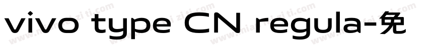 vivo type CN regula字体转换